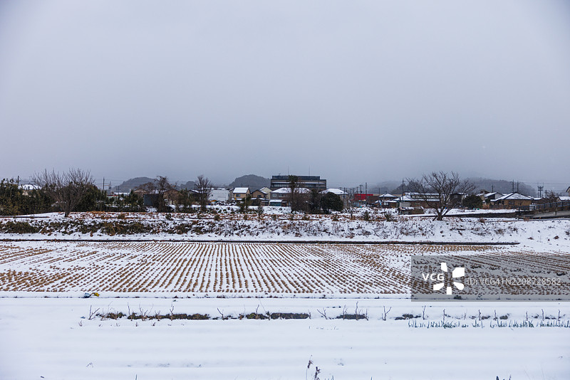 日本雪覆盖的乡村农田图片素材