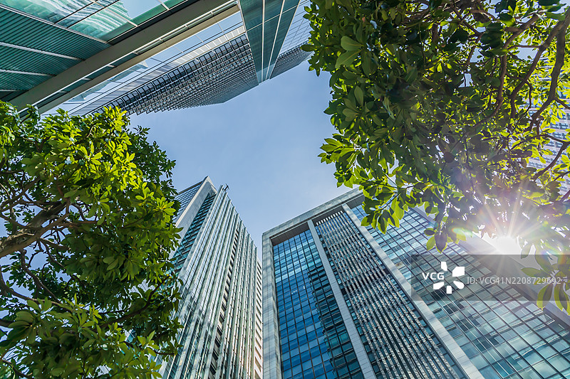 东京摩天大楼的天际线，绿意盎然，阳光明媚。图片素材