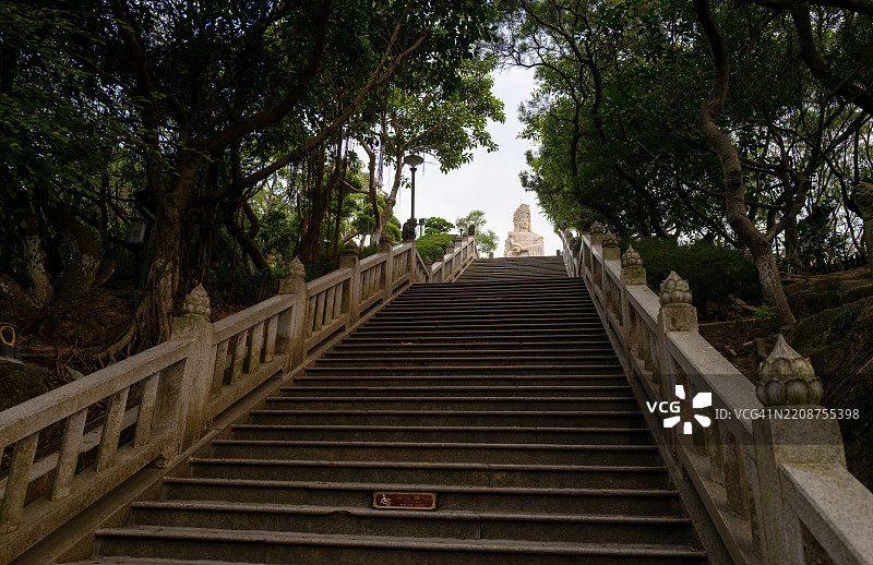 古老的石阶在郁郁葱葱的绿树中图片素材
