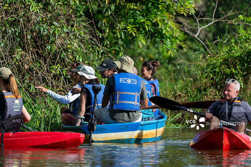 游客在哥斯达黎加托尔图盖罗国家公园郁郁葱葱的水域中划船图片素材