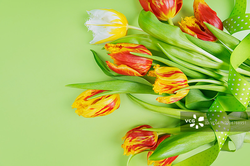 明亮的春季郁金香花束图片素材