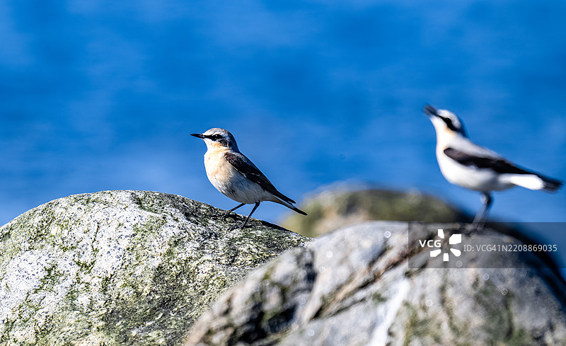 背景中的男性正在认真倾听他的伴侣所说的话。图片素材