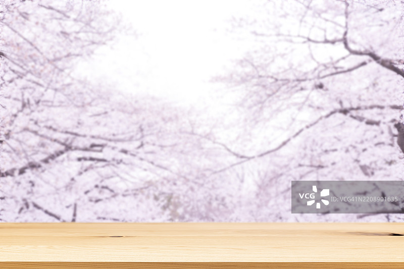 模糊背景中的樱花树上的木桌面图片素材