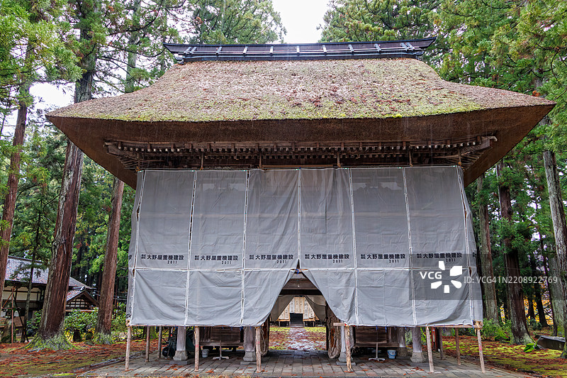 一扇覆盖着苔藓的宏伟大门。图片素材