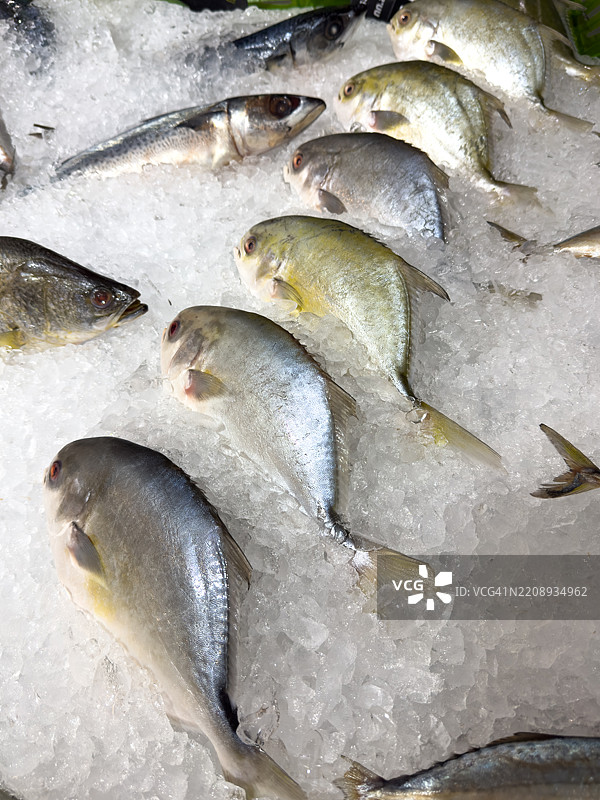 冰上的新鲜鱼，冷冻新鲜食品图片素材