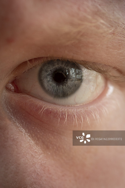 眼睛特写图片素材