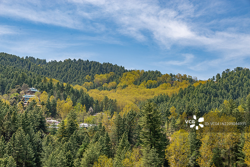 春天的编年史图片素材