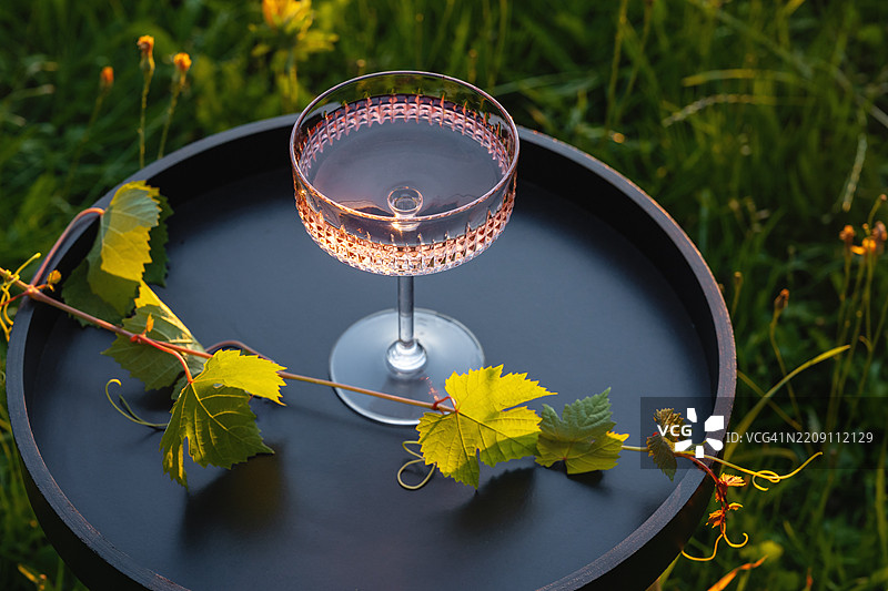 鸡尾酒杯或碟形杯装着玫瑰红酒饮品图片素材