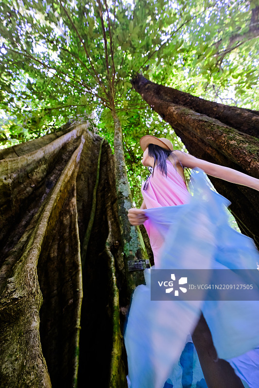 生命之树图片素材