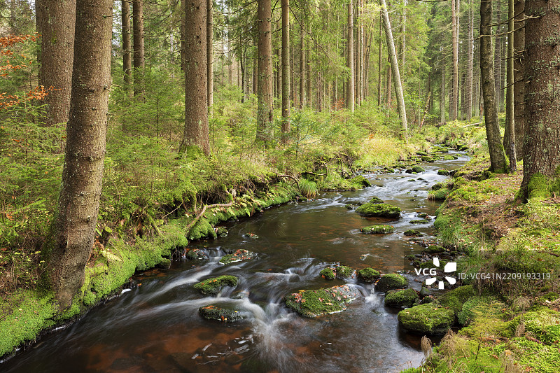 魏斯迈因河,梅因河的源头,比绍夫斯格吕恩,费希特尔山脉,上弗兰肯,巴伐利亚,德国,欧洲图片素材