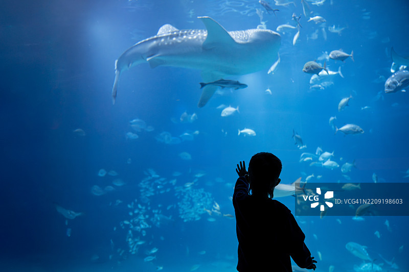 水族馆里的孩子图片素材