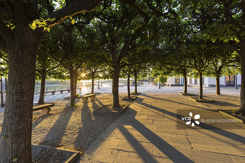 布吕尔露台，清晨的低阳光透过其他阴凉的树木，德累斯顿，萨克森，德国，欧洲图片素材