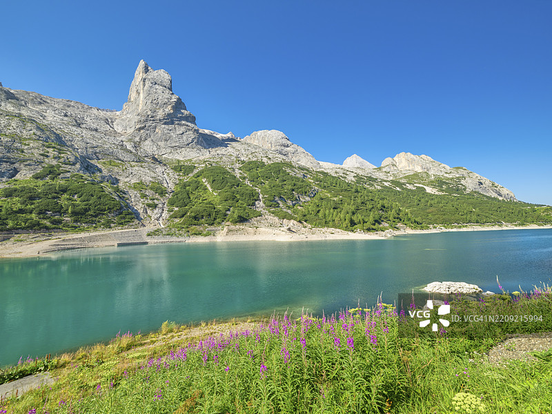 费达亚湖与马尔莫拉达山、花卉，意大利南蒂罗尔，特伦蒂诺-阿尔托阿迪杰，欧洲图片素材