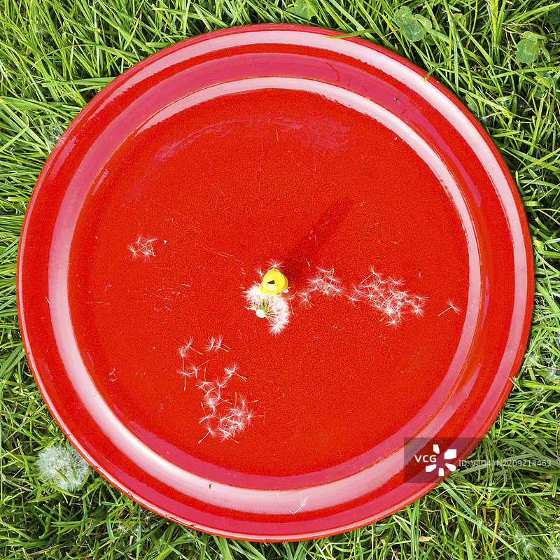 草地上的剩余普斯特库亨蛋糕、蛋糕盘和蜡烛，成语的可视化，德国，欧洲图片素材