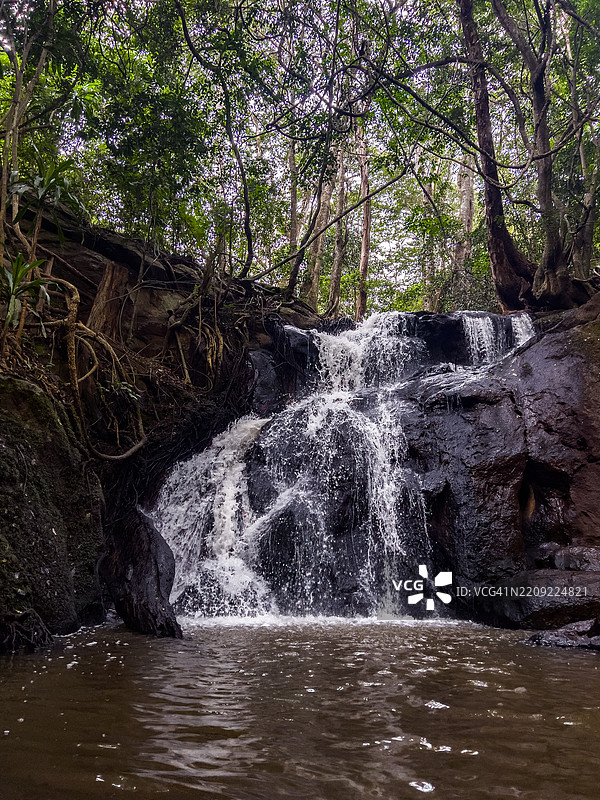 卡鲁拉森林是位于肯尼亚首都内罗毕的一片城市森林。该森林于1932年被列为保护区。图片素材