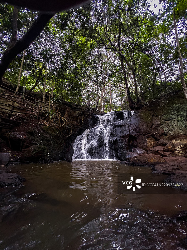 卡鲁拉森林是位于肯尼亚首都内罗毕的一片城市森林。该森林于1932年被列为保护区。图片素材