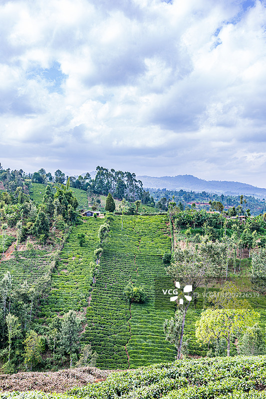 肯尼亚山梅鲁克尔马拉，基库尤克尔尼亚，加姆巴基尼亚，恩布基尼亚是一个已灭绝的火山图片素材