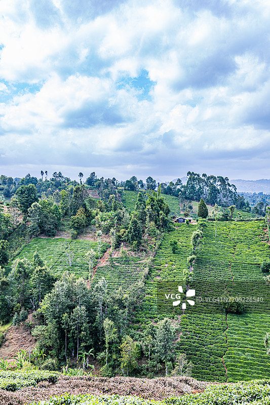 肯尼亚山梅鲁克尔马拉，基库尤克尔尼亚，加姆巴基尼亚，恩布基尼亚是一个已灭绝的火山。图片素材