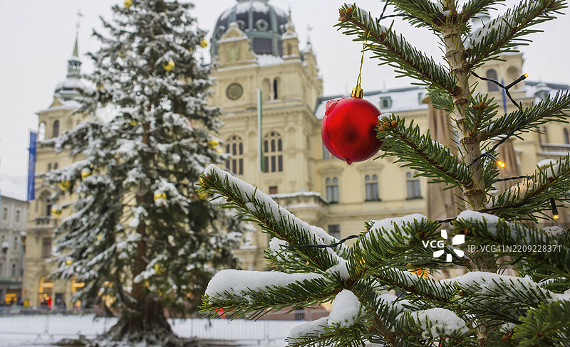 美丽的圣诞树和位于奥地利施蒂利亚州格拉茨市中心著名主广场Hauptplatz的市政厅建筑，冬季，选择性对焦。图片素材