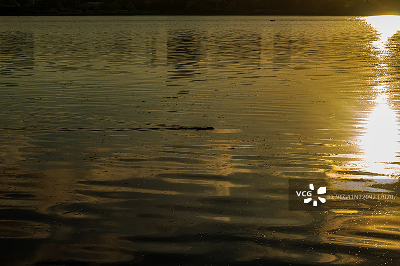 湖泊的美丽景色图片素材