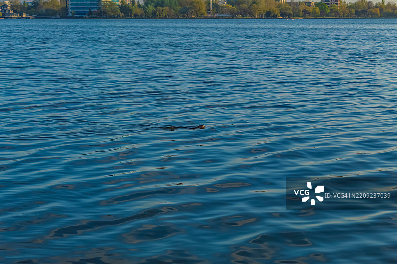 海洋的美丽景色图片素材