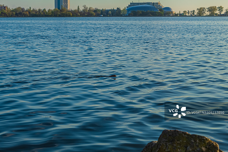 海洋的美丽景色图片素材