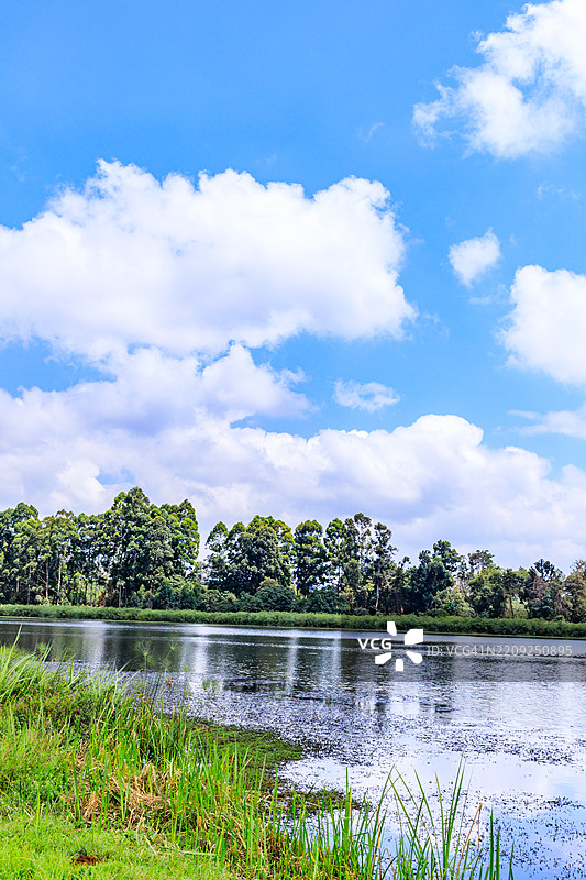 天堂花园婚礼场地 植物 田野 植被 草地 池塘 水坝 湖泊 基布县 中央，肯尼亚图片素材
