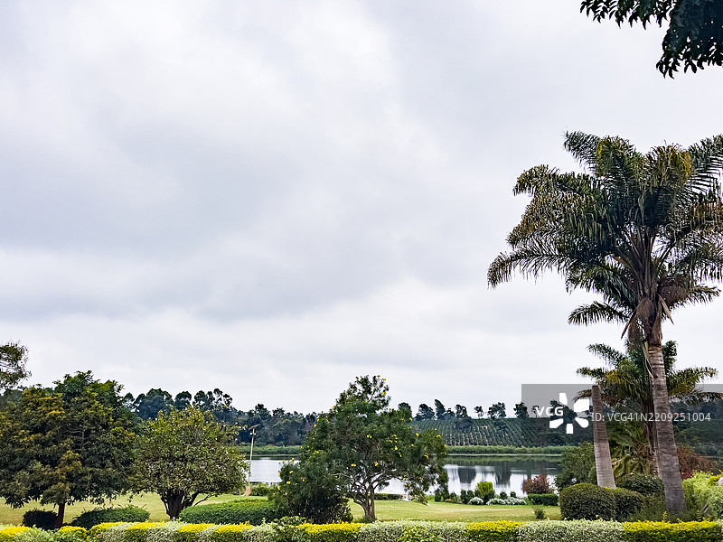 天堂花园婚礼场地 植物 田野 植被 草地 池塘 水坝 基安布县 中央图片素材