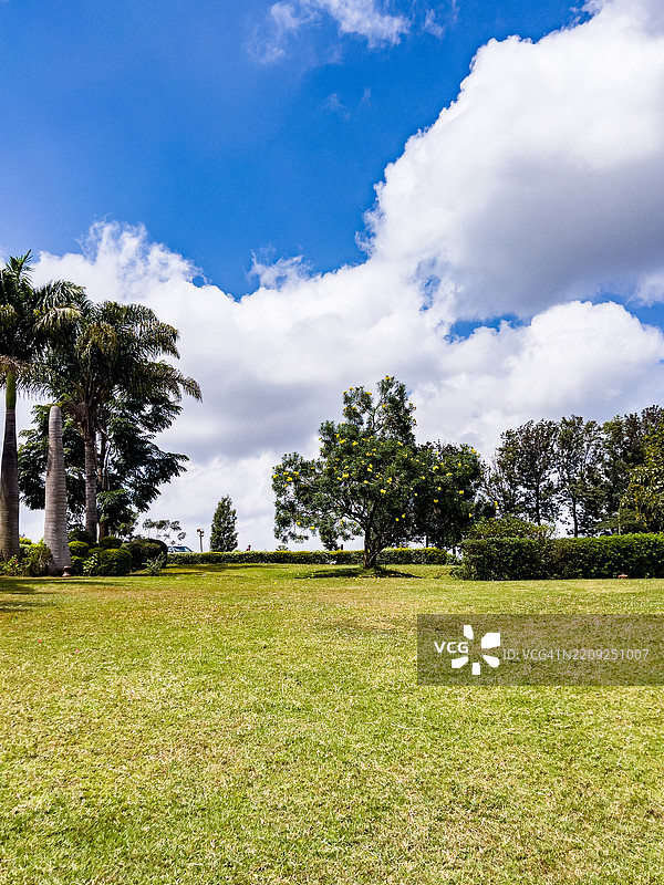 天堂花园婚礼场地 植物 田野 植被 草地 池塘 水坝 基安布县 中央图片素材
