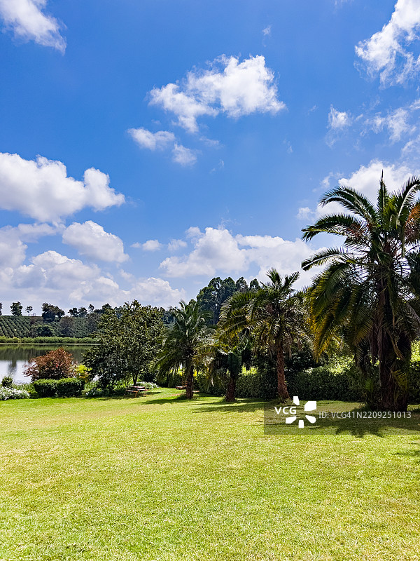 天堂花园婚礼场地 植物 田野 植被 草地 池塘 水坝 基安布县 中央图片素材