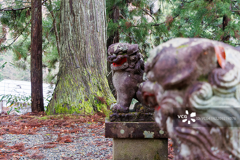 精美雕刻的狛犬（守护犬）。山中的一个小神社。图片素材