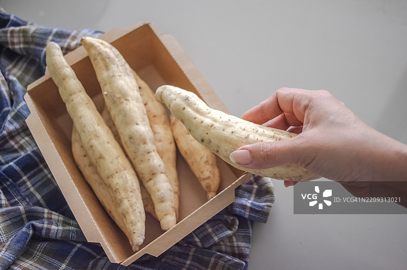 用手挑选新鲜的白色甘薯图片素材