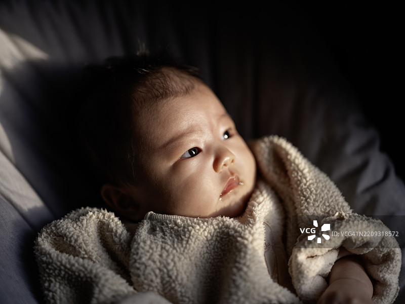 新生儿图片素材