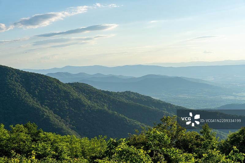 在绿色森林覆盖的山顶上图片素材