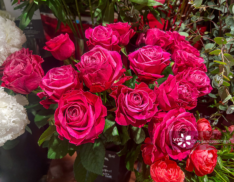 横滨的花店出售鲜艳的粉色玫瑰图片素材
