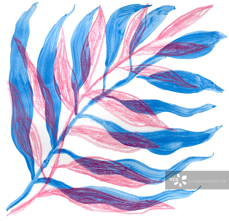 蓝色和红色叶子叠加在一起的水彩和铅笔插图图片素材
