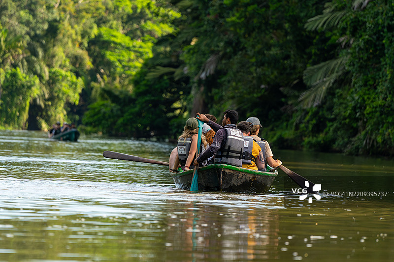 导游带着游客在托尔图盖罗国家公园的丛林运河中划独木舟图片素材