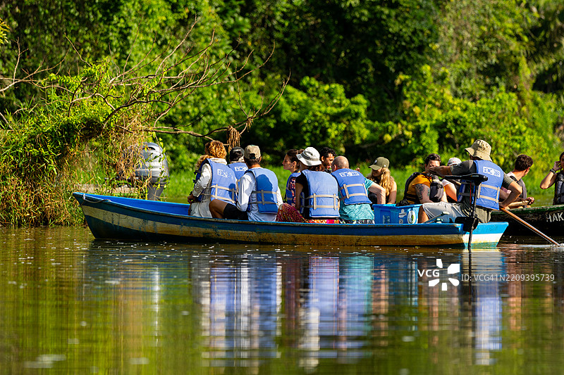 游客在托尔图盖罗国家公园的丛林水道中划独木舟图片素材