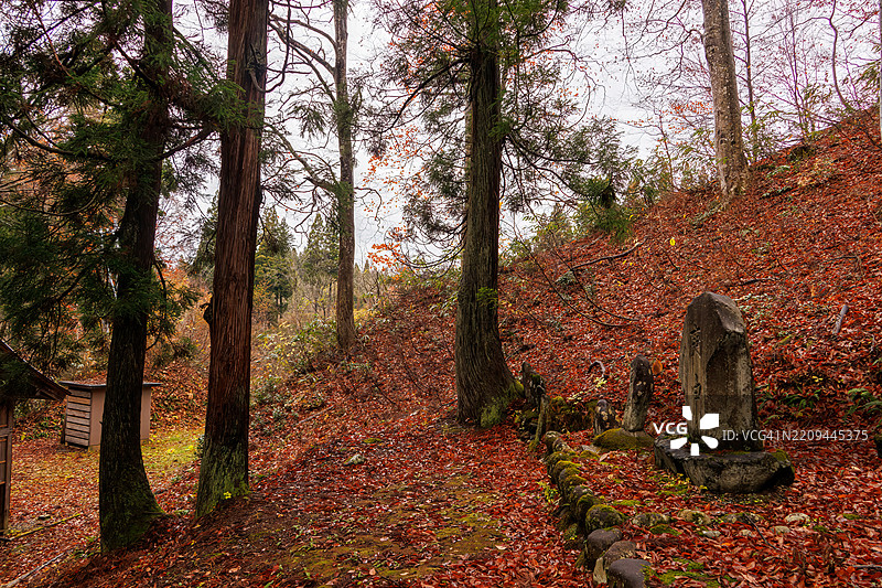 覆盖着苔藓的石碑和小神社。地面上铺满了秋天的落叶。山中的小神社。图片素材