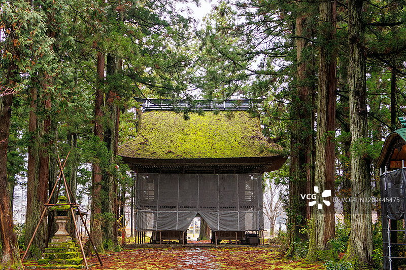 一扇覆盖着苔藓的宏伟大门。当时正在施工中。图片素材