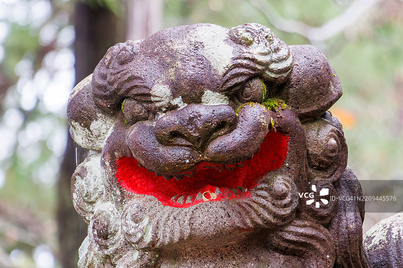 精美雕刻的狛犬（守护犬）。山中的一个小神社。图片素材