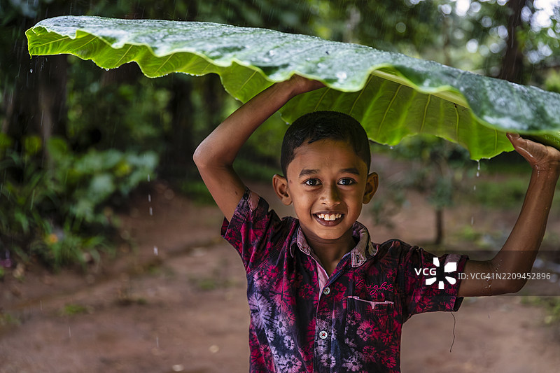 年轻男孩在斯里兰卡的香蕉叶下躲避雨水图片素材