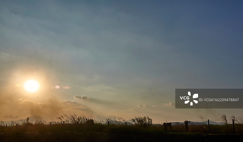 阳光照耀下的宽阔草地景观。图片素材