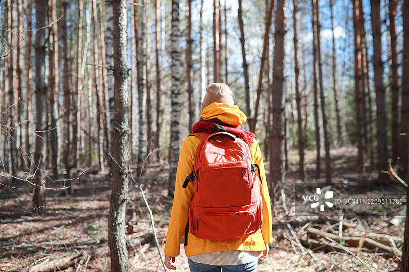 背影中的女性穿着户外装备和背包，独自徒步于森林中，享受宁静的自然时刻。图片素材