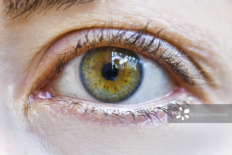 无妆的女性榛色眼睛特写图片素材