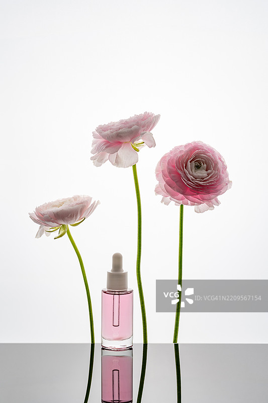 粉色柔和的面部油精华，搭配波斯花毛茛花朵图片素材