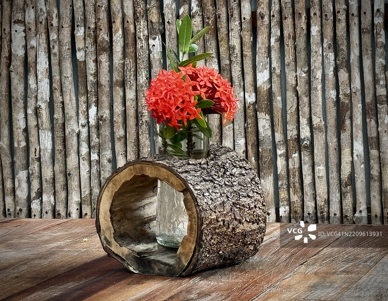 自然生活方式图片素材