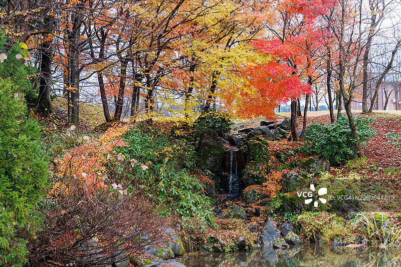 寺庙旁的公园。池塘边有一个小瀑布。秋天的落叶正好适合这个季节。图片素材