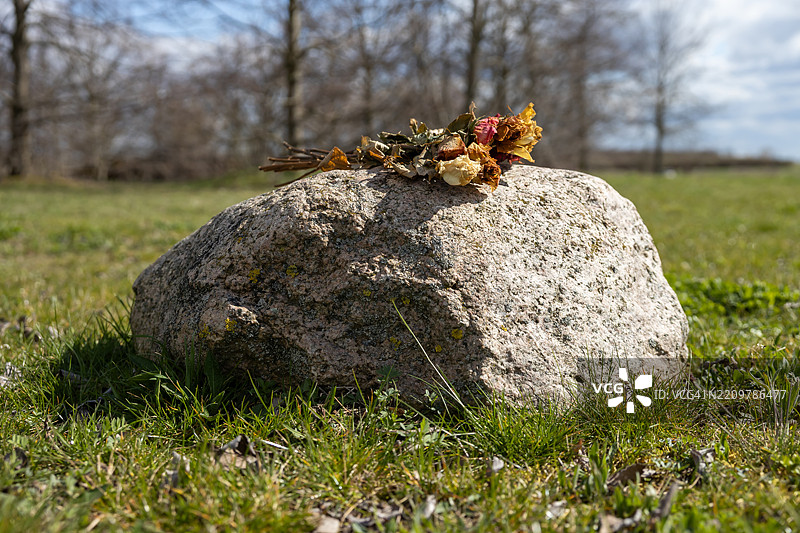 干花束放在草地上的石头上图片素材