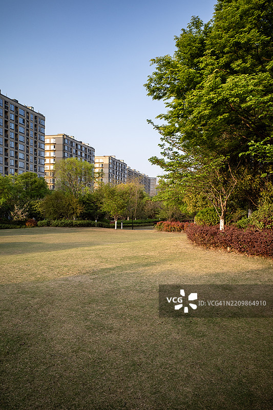 宽敞的草坪与树木和现代公寓图片素材